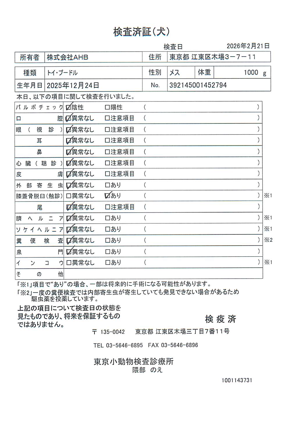 トイ・プードル