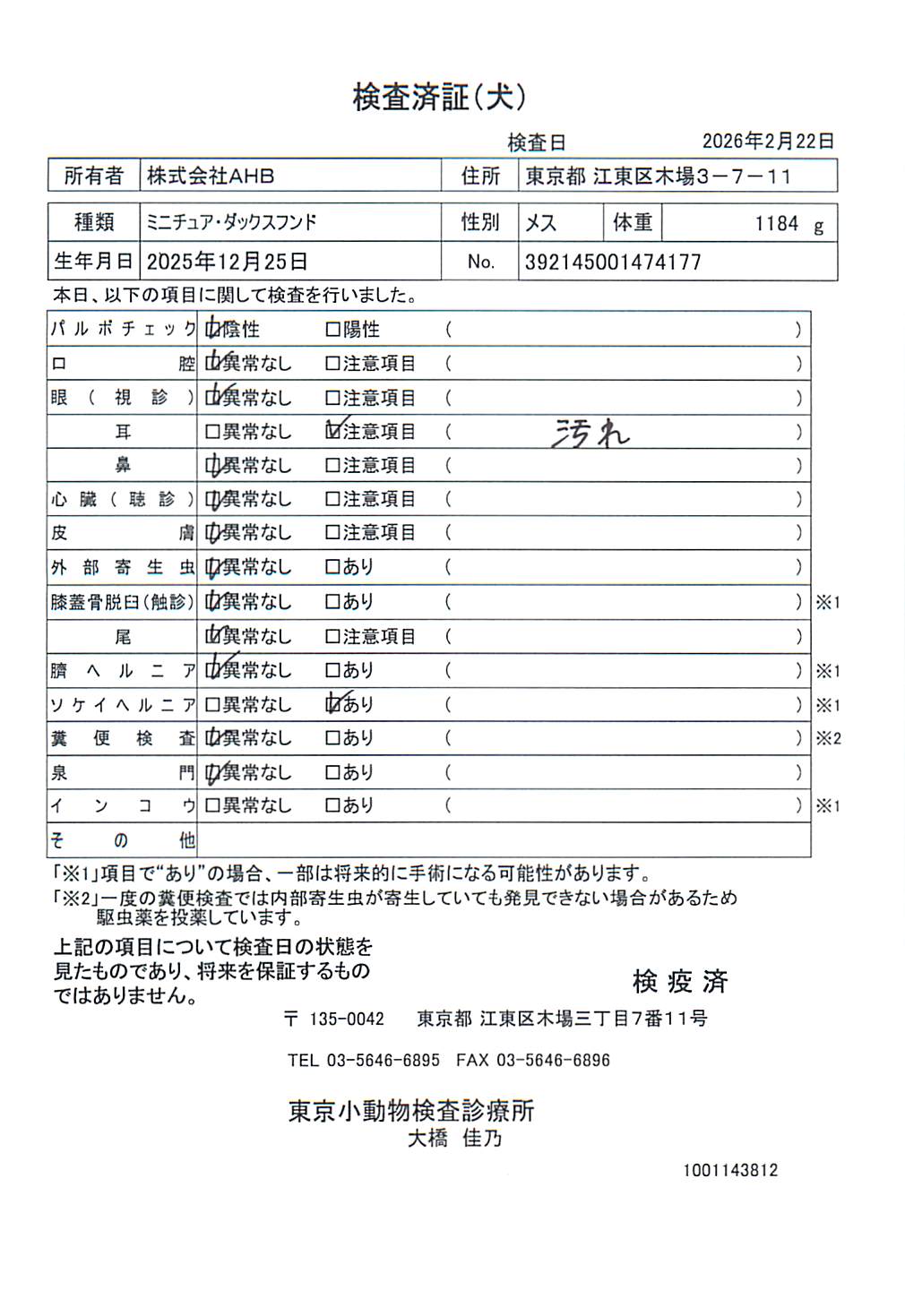 ミニチュア・ダックスフンド