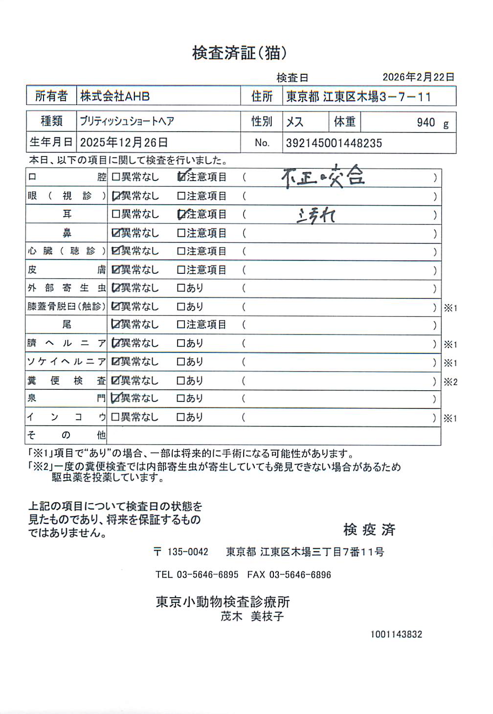 ブリティッシュショートヘア