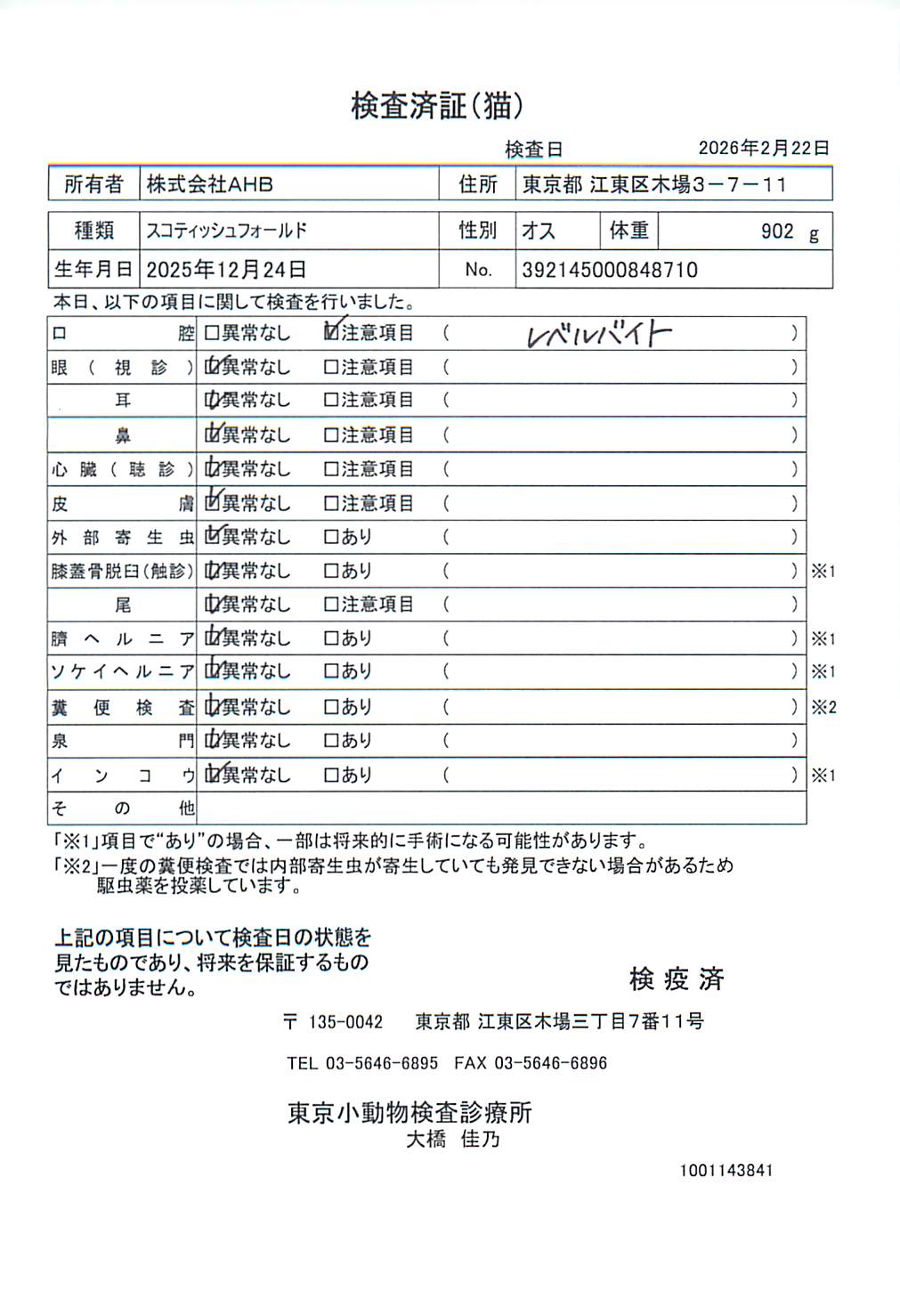 スコティッシュフォールド
