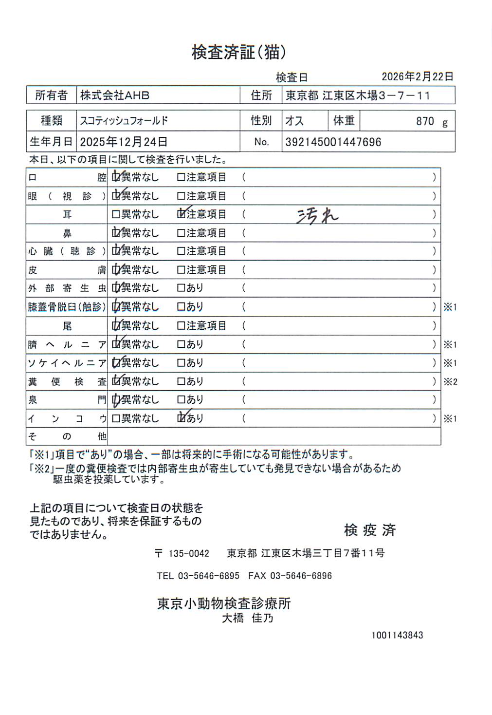 スコティッシュフォールド