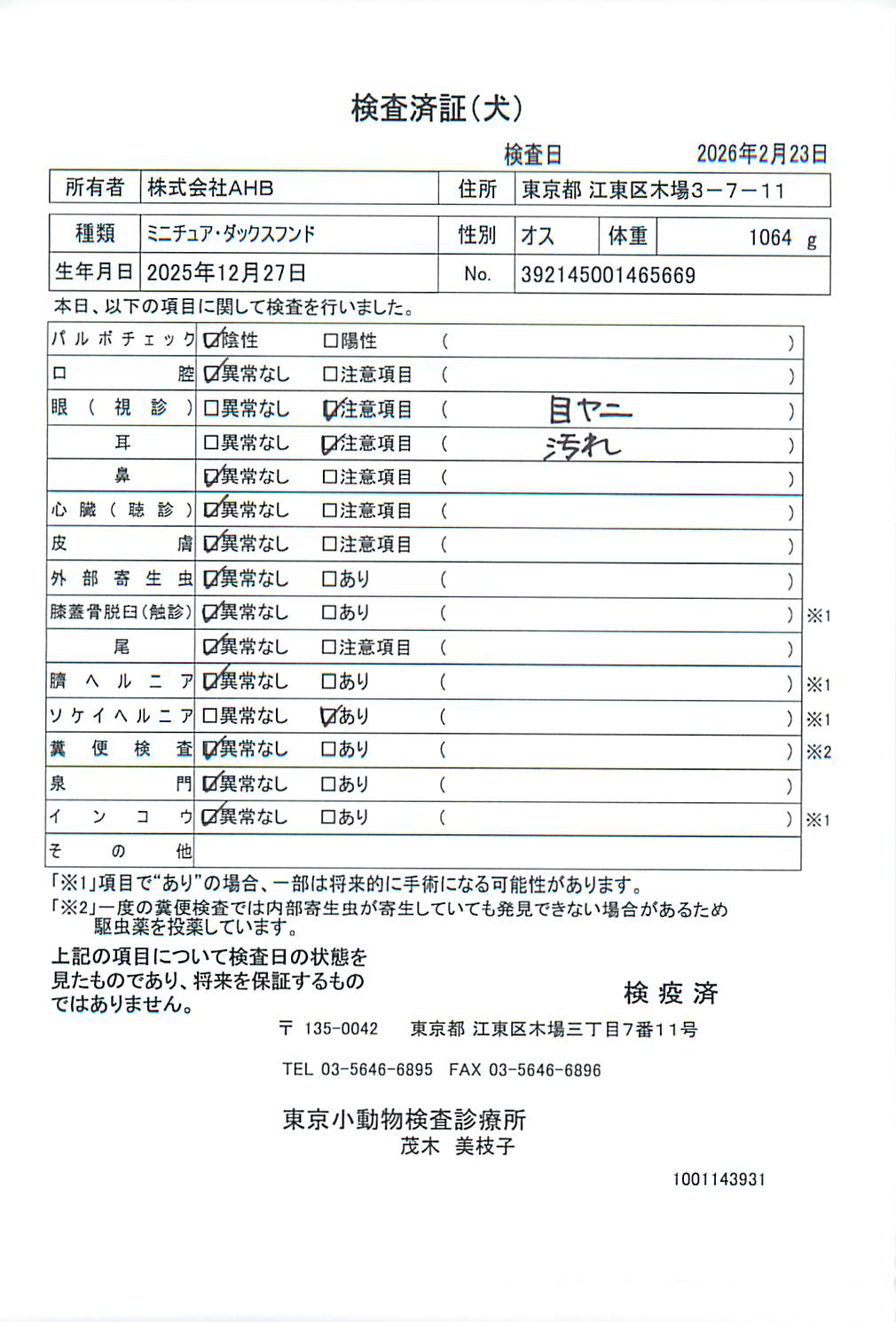 ミニチュア・ダックスフンド