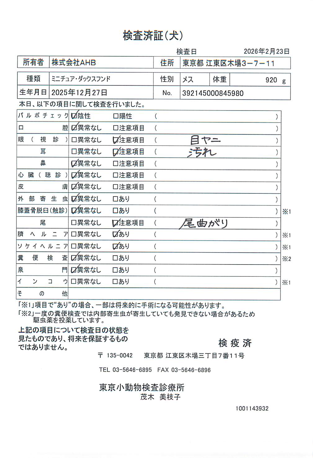 ミニチュア・ダックスフンド