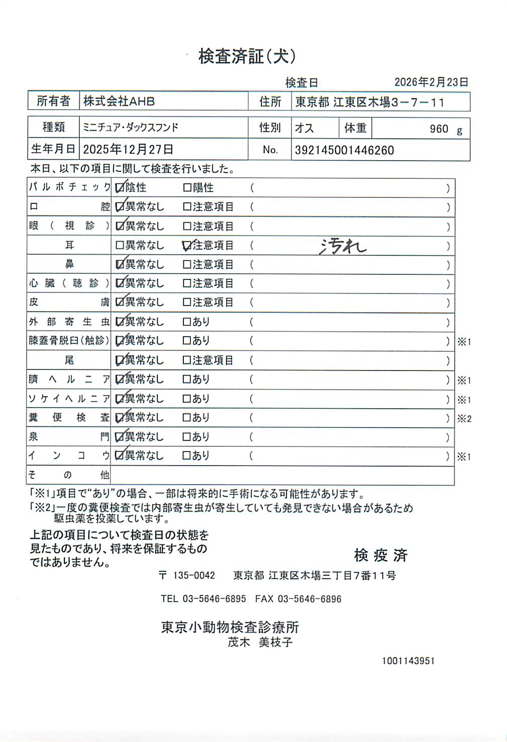 ミニチュア・ダックスフンド