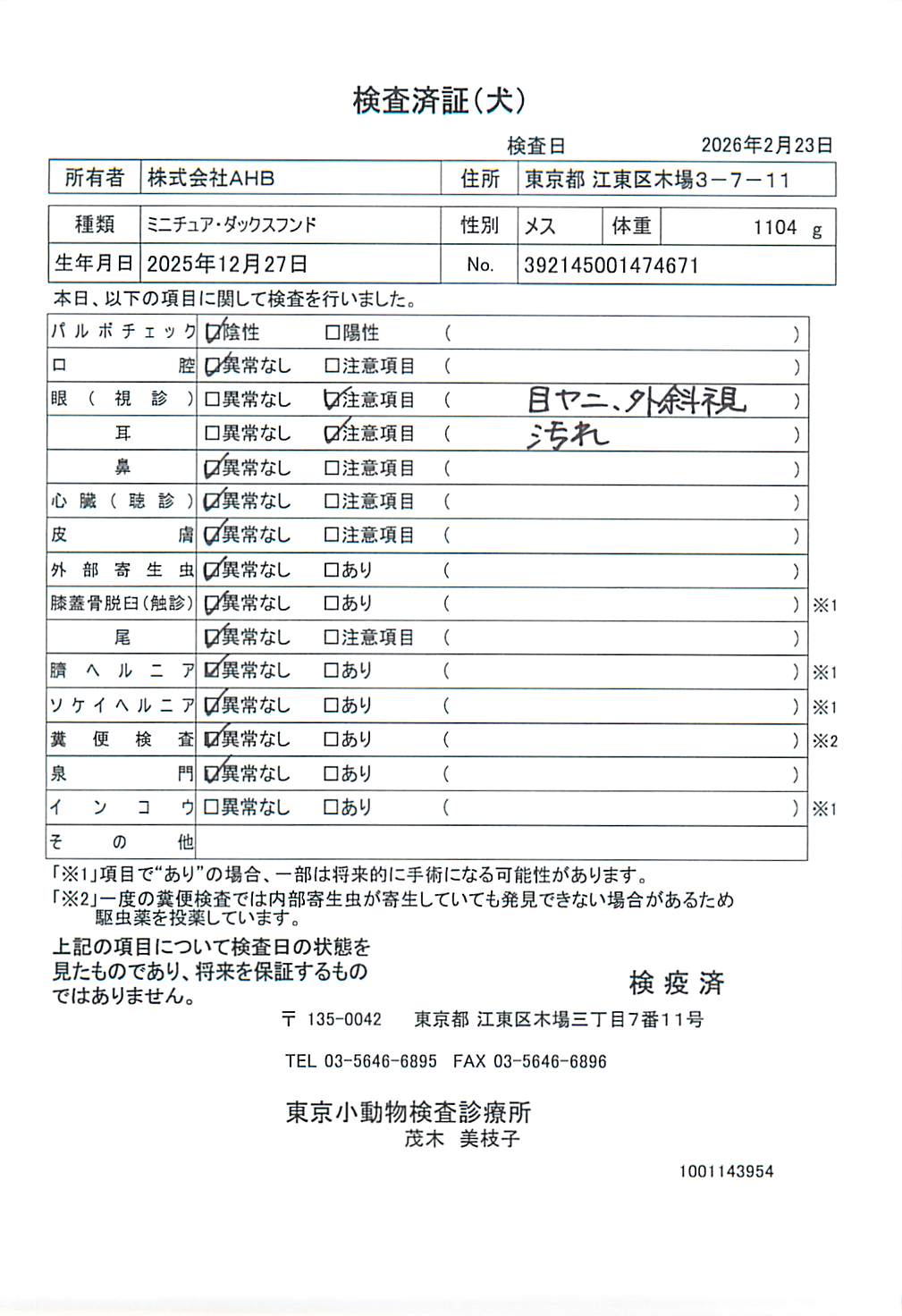 ミニチュア・ダックスフンド