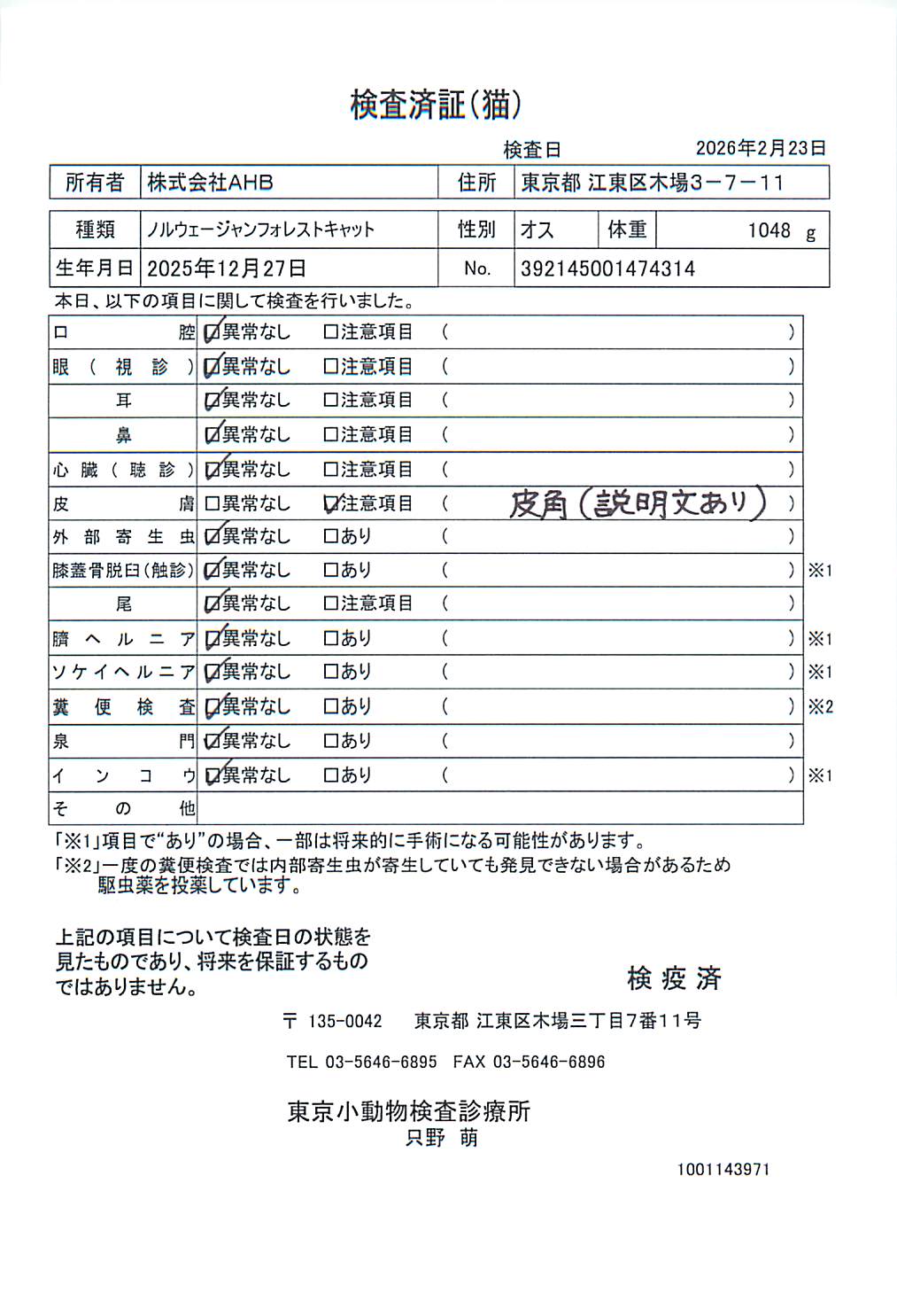 ノルウェージャンフォレストキャット