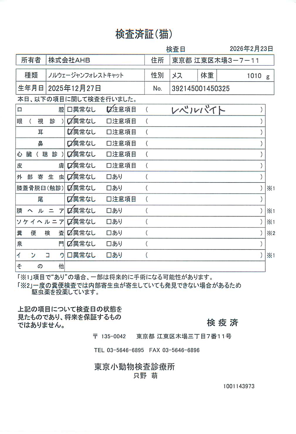 ノルウェージャンフォレストキャット