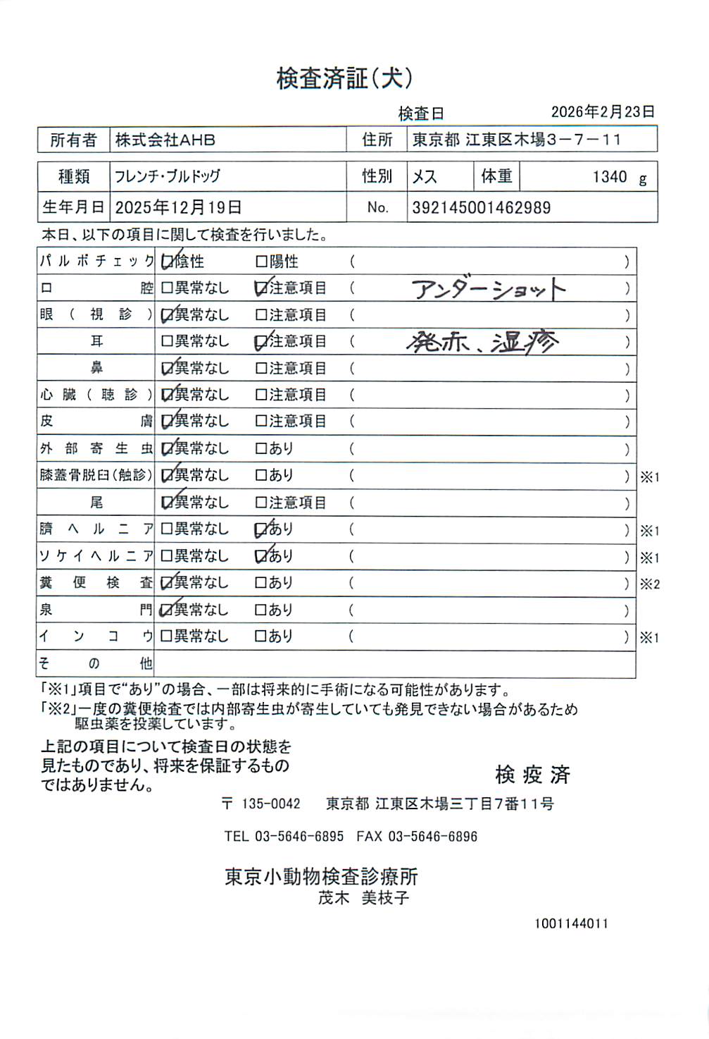 フレンチ・ブルドッグ