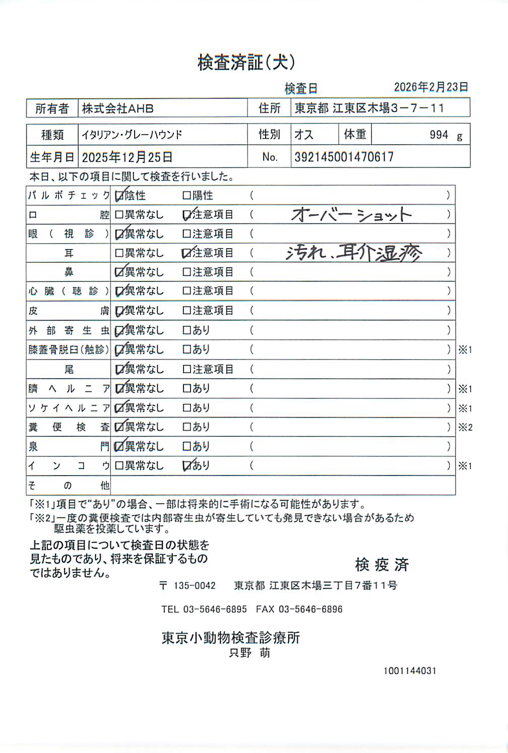 イタリアン・グレーハウンド