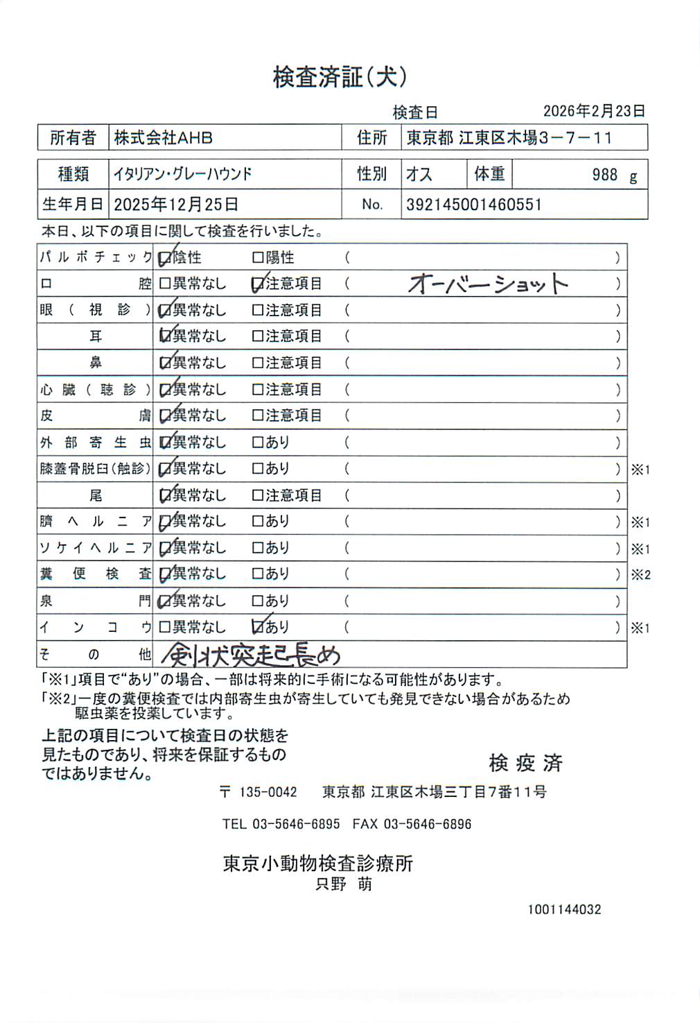 イタリアン・グレーハウンド