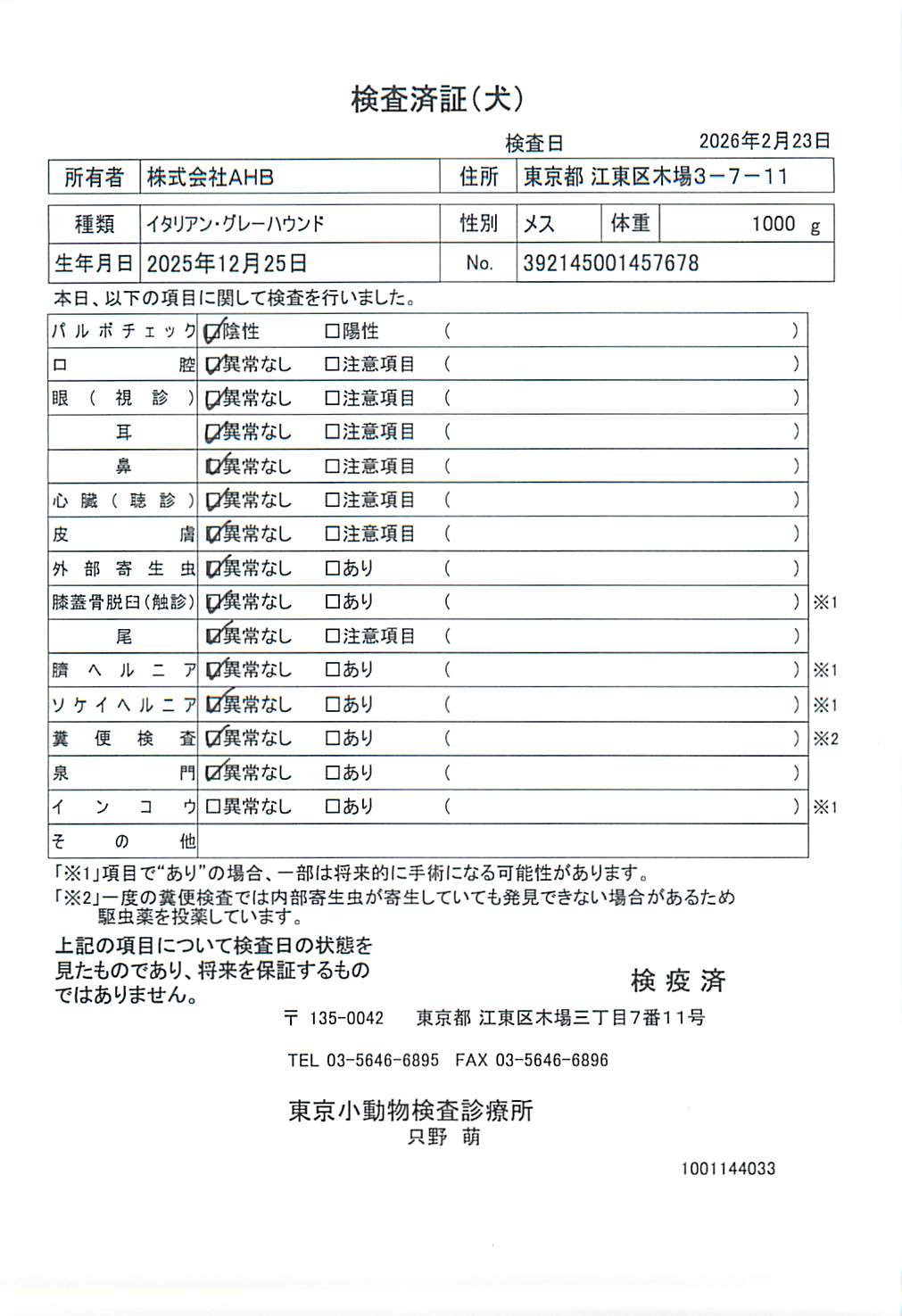 イタリアン・グレーハウンド