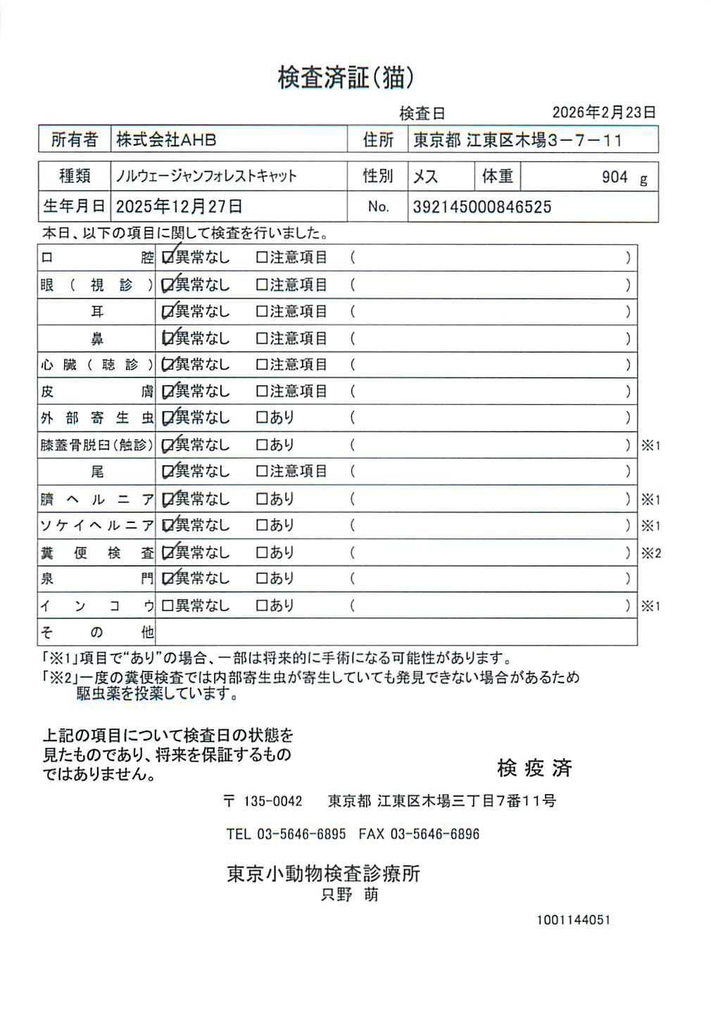 ノルウェージャンフォレストキャット