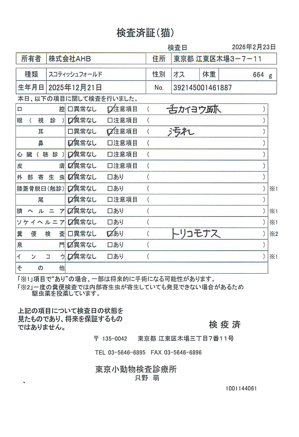 スコティッシュフォールド