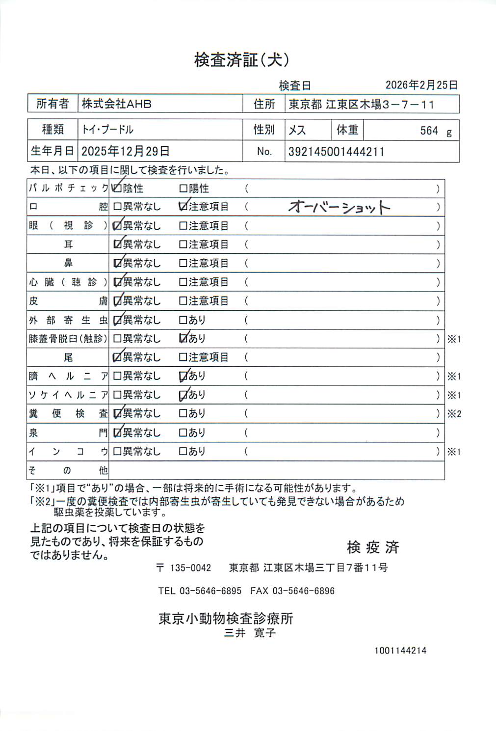 トイ・プードル