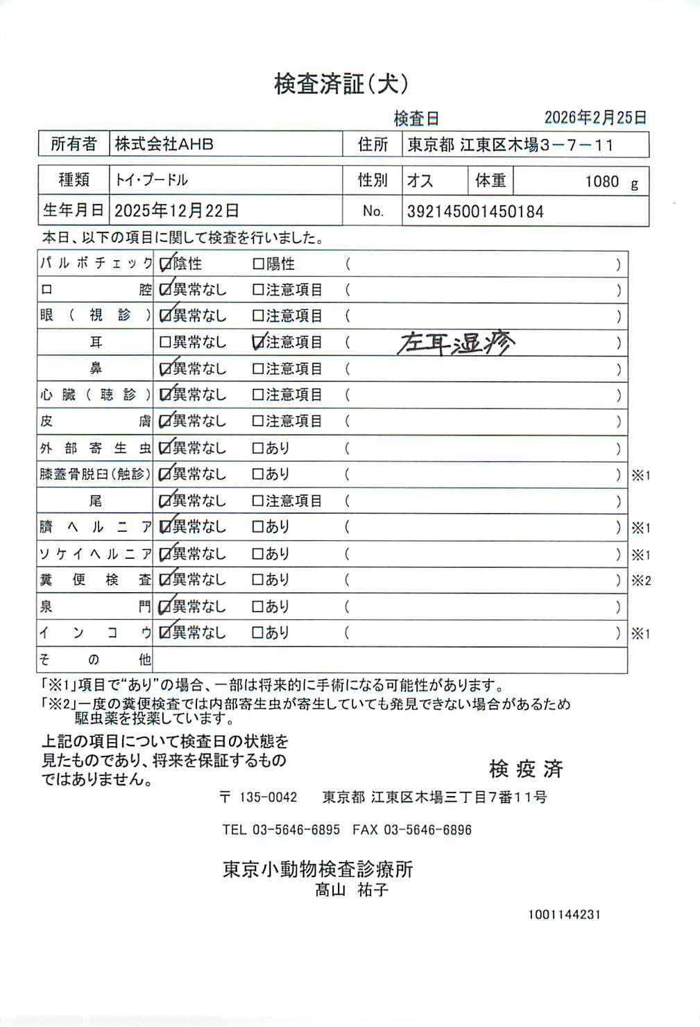トイ・プードル