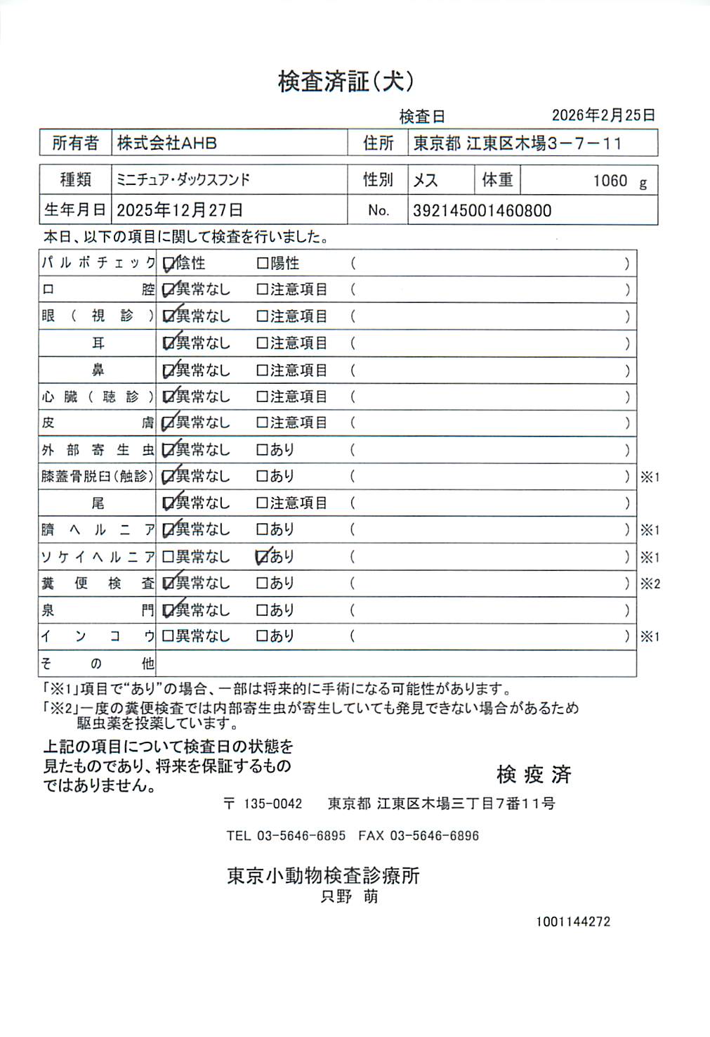 ミニチュア・ダックスフンド
