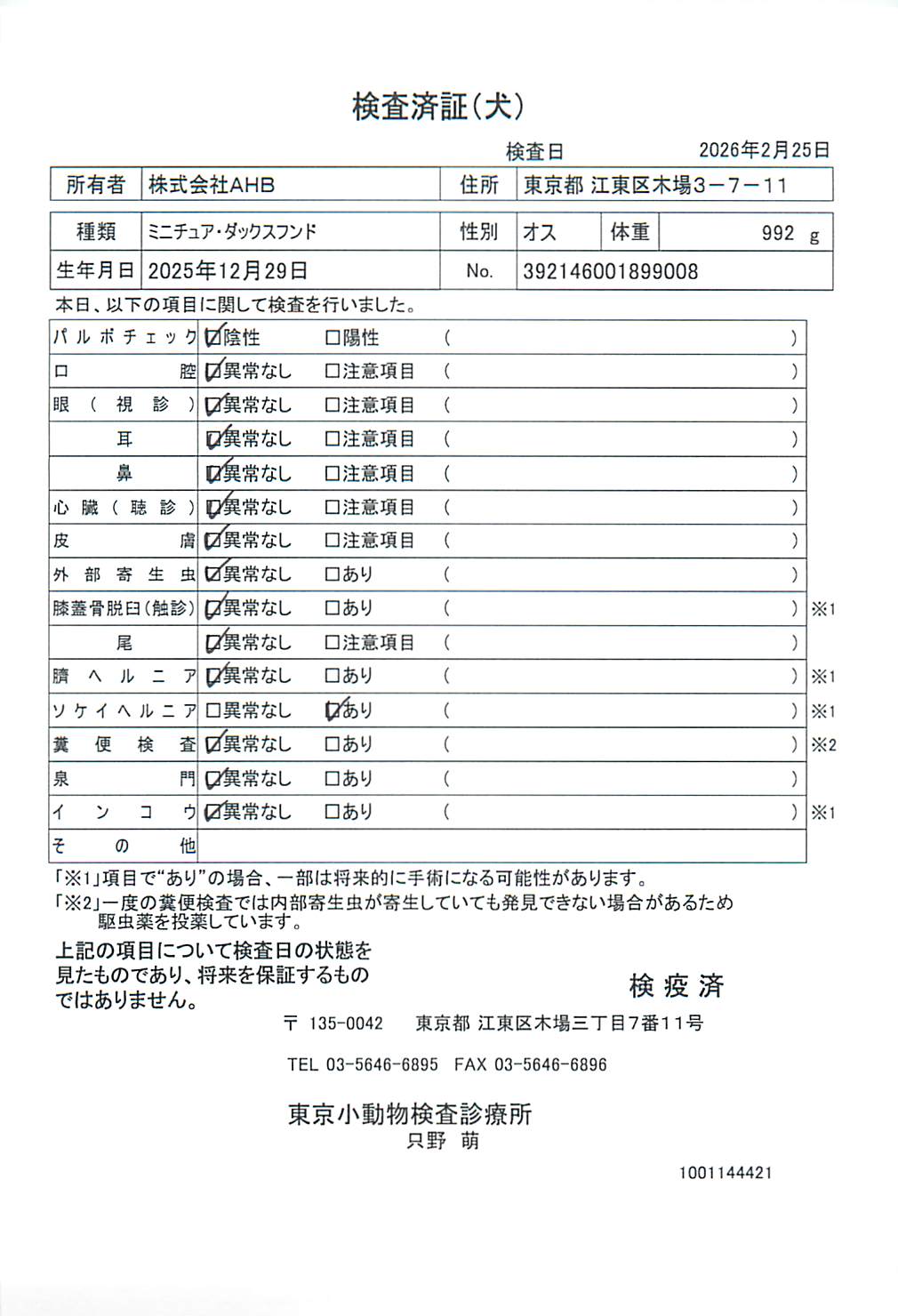 ミニチュア・ダックスフンド