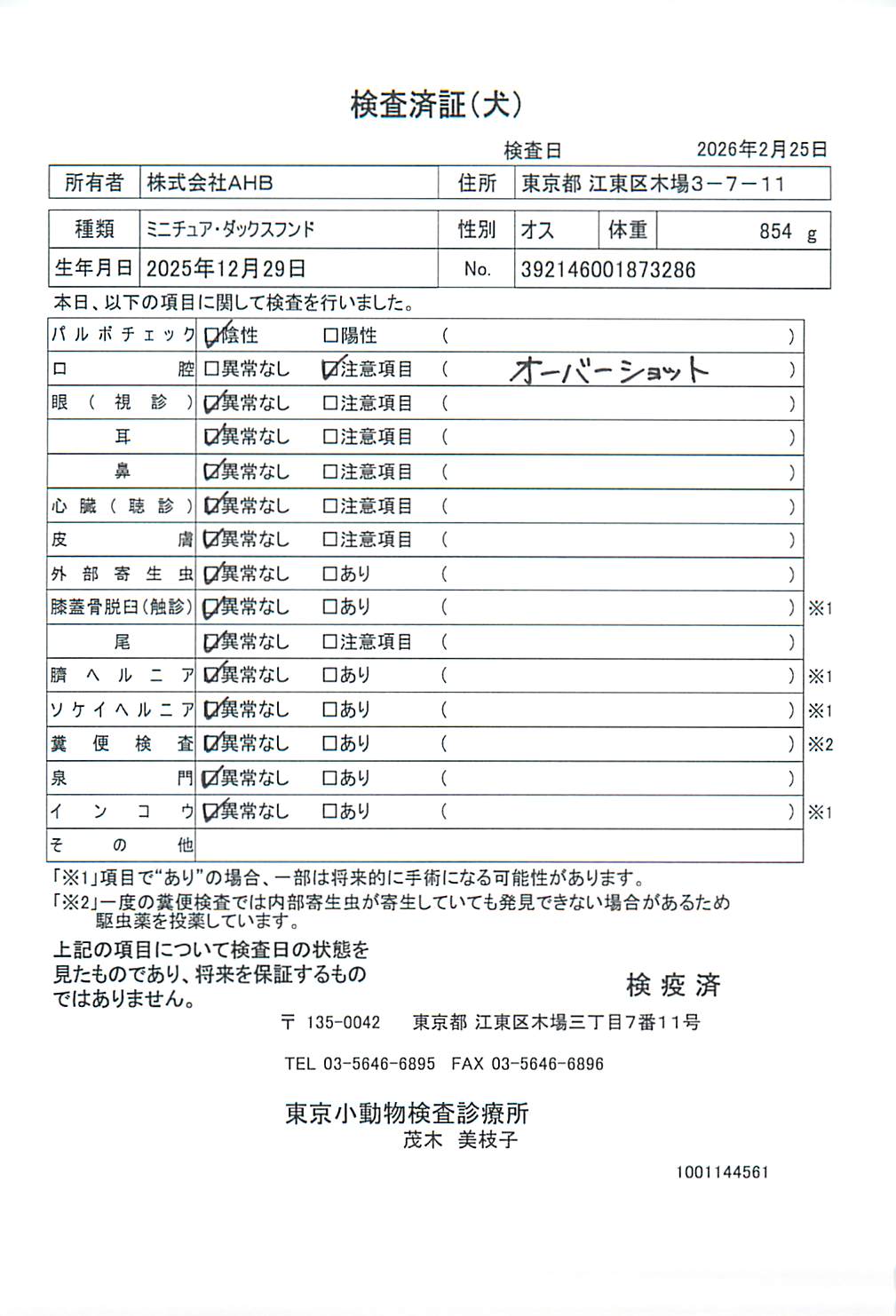 ミニチュア・ダックスフンド