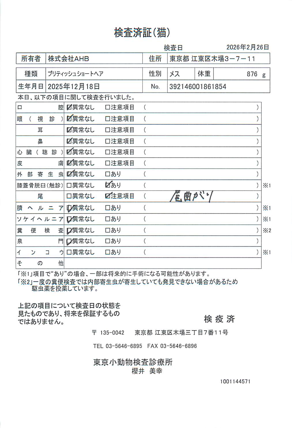 ブリティッシュショートヘア