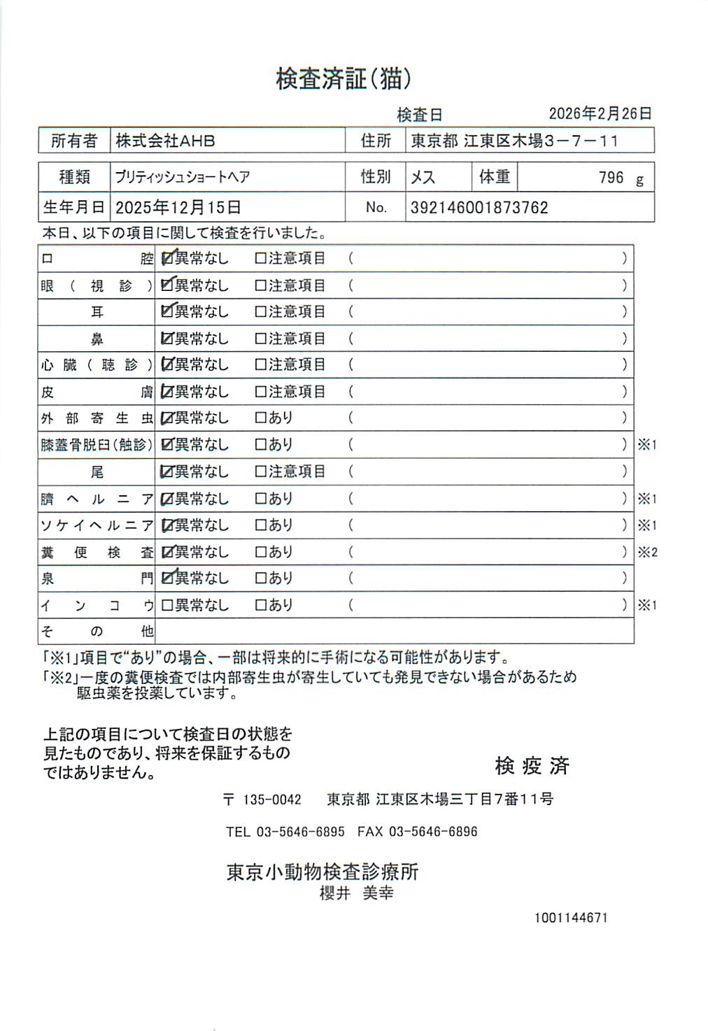 ブリティッシュショートヘア