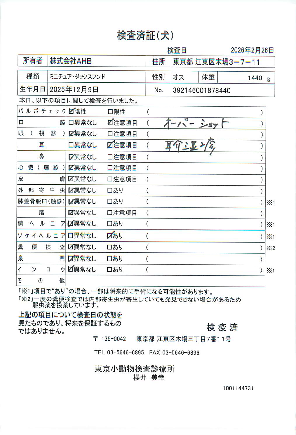 ミニチュア・ダックスフンド