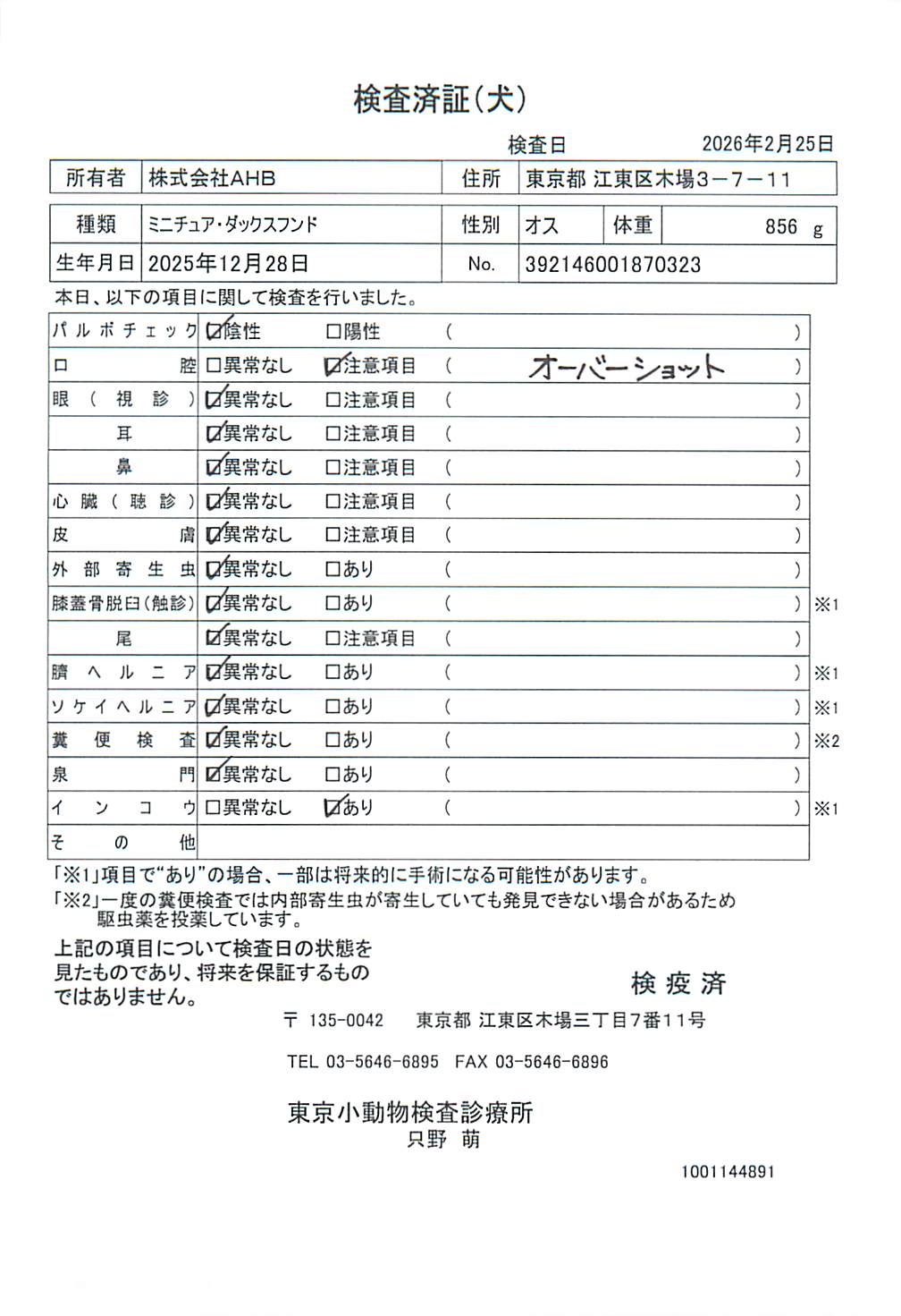 ミニチュア・ダックスフンド