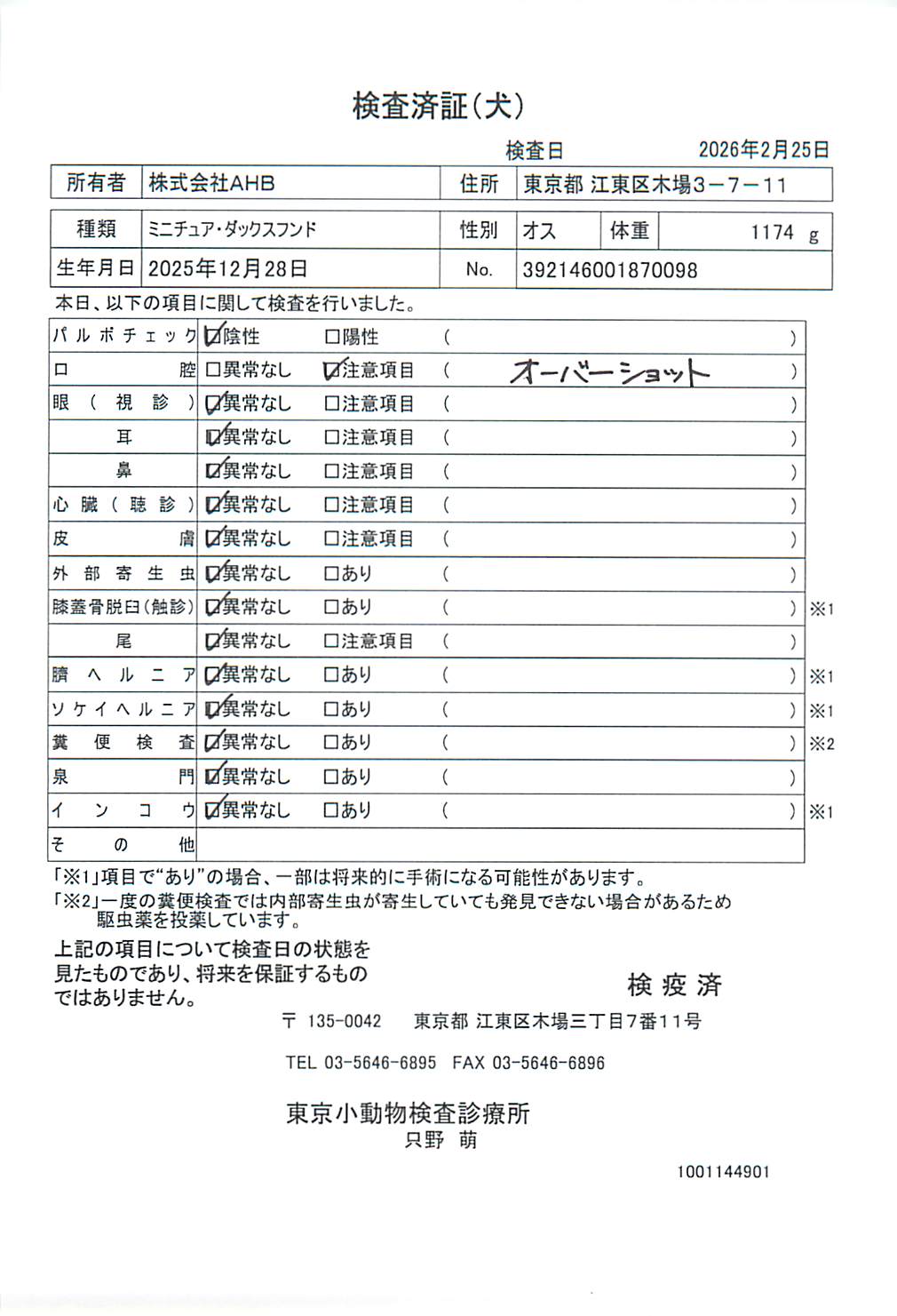 ミニチュア・ダックスフンド