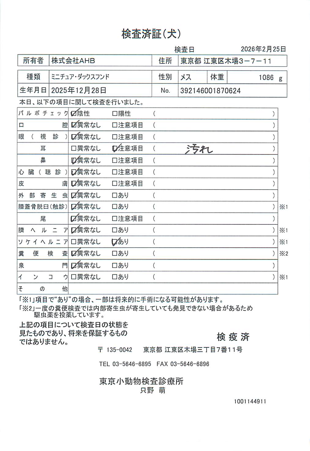 ミニチュア・ダックスフンド