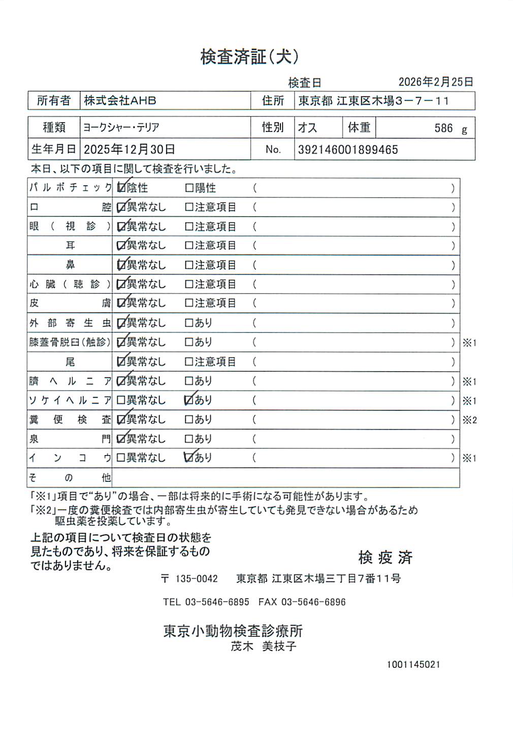 ヨークシャー・テリア