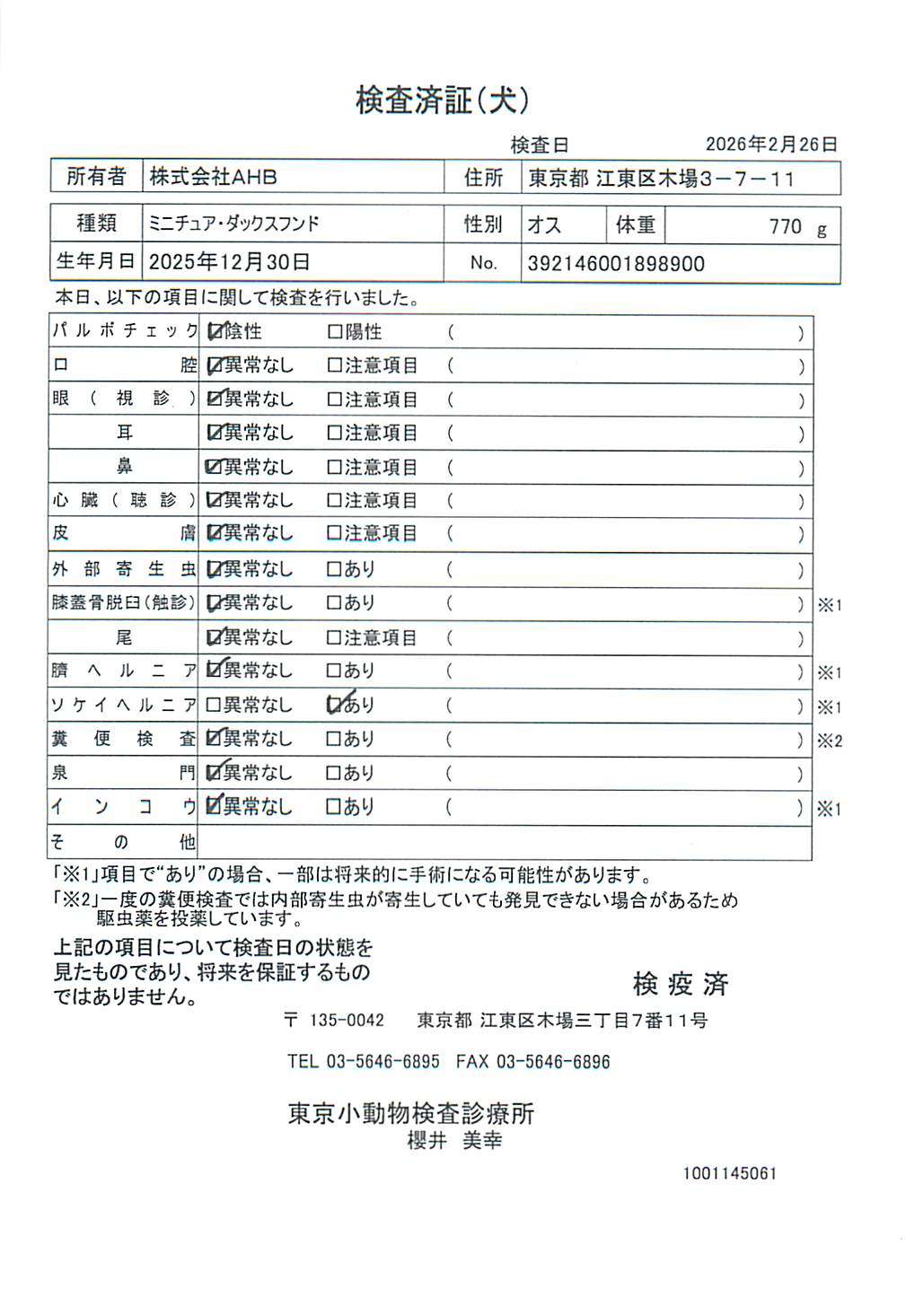 ミニチュア・ダックスフンド