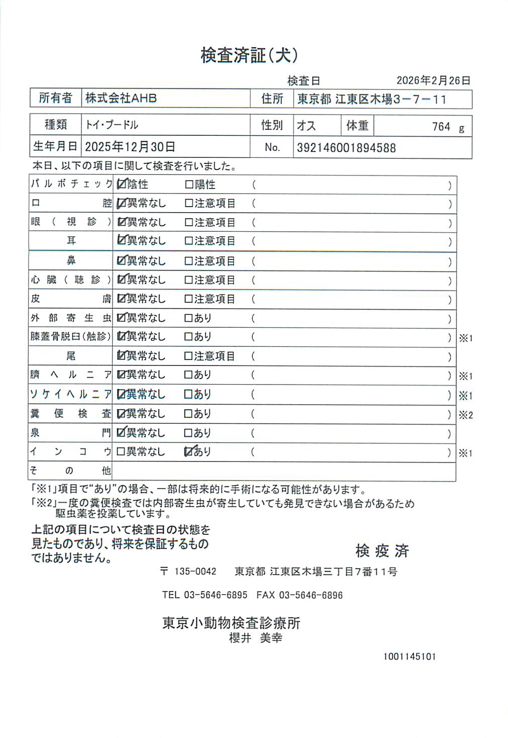 トイ・プードル