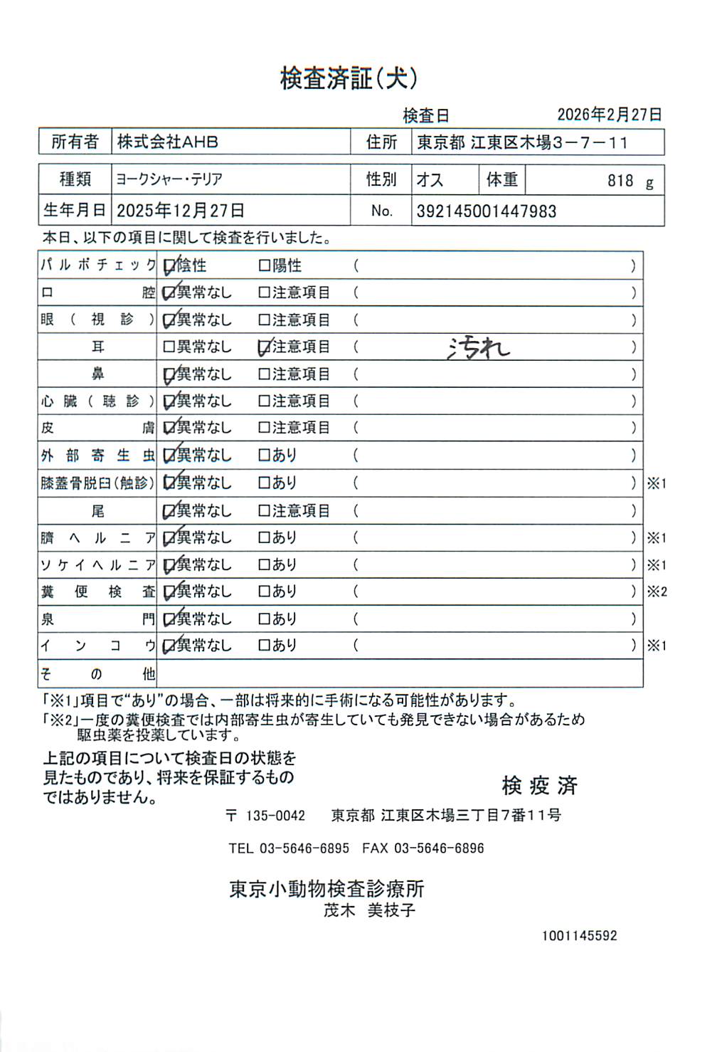 ヨークシャー・テリア