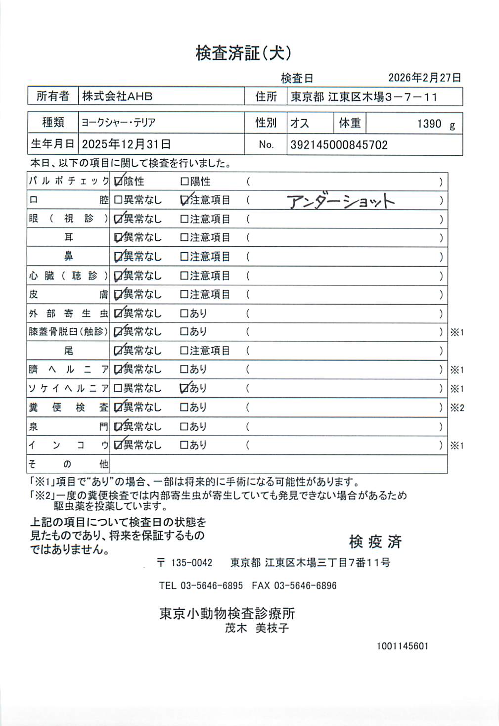 ヨークシャー・テリア