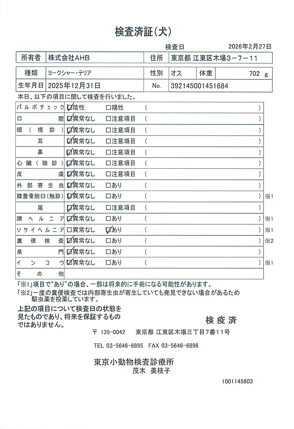 ヨークシャー・テリア