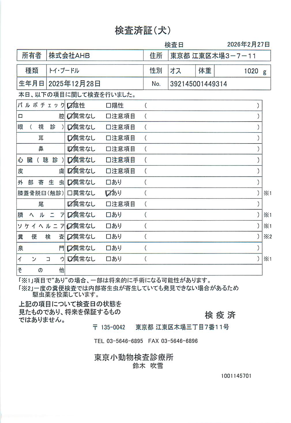 トイ・プードル