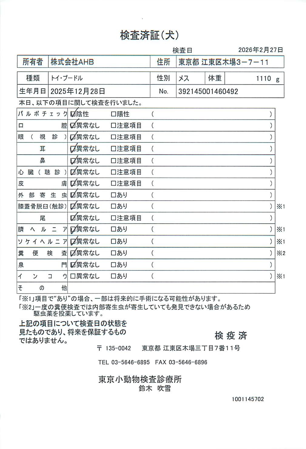 トイ・プードル