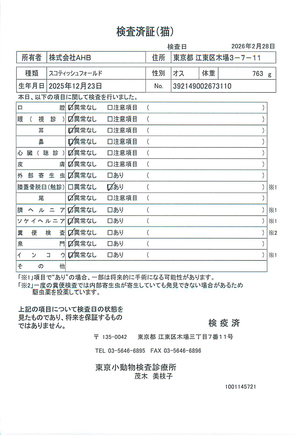スコティッシュフォールド