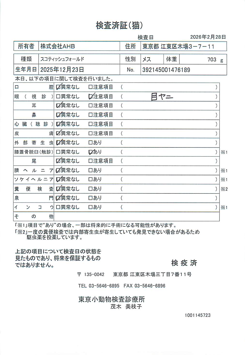 スコティッシュフォールド