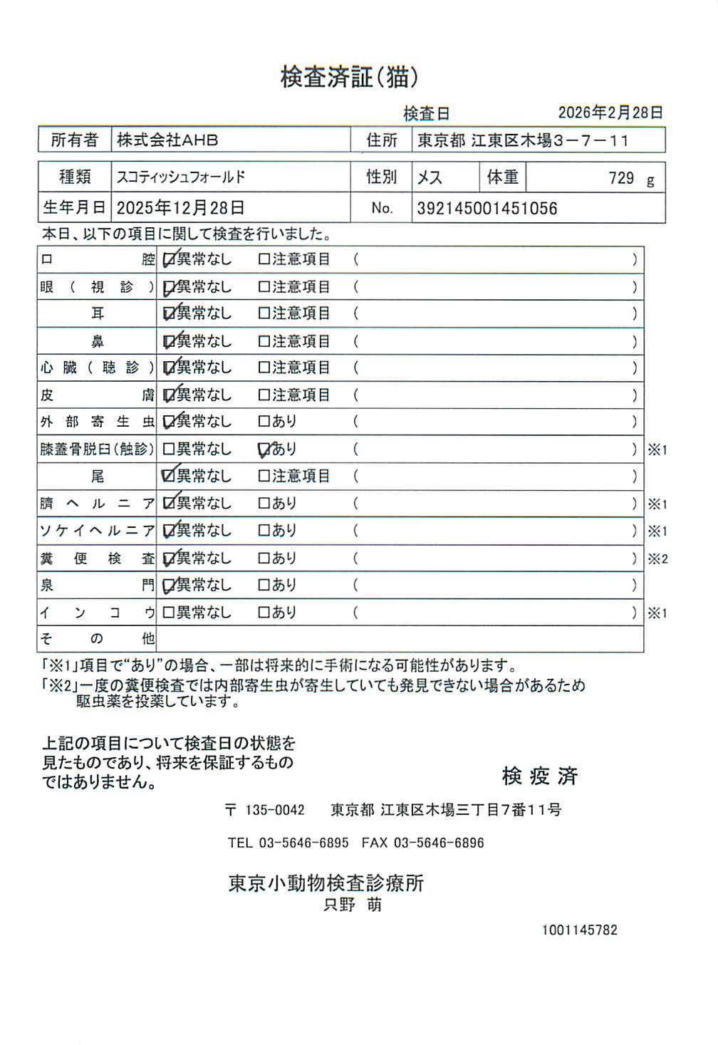 スコティッシュフォールド