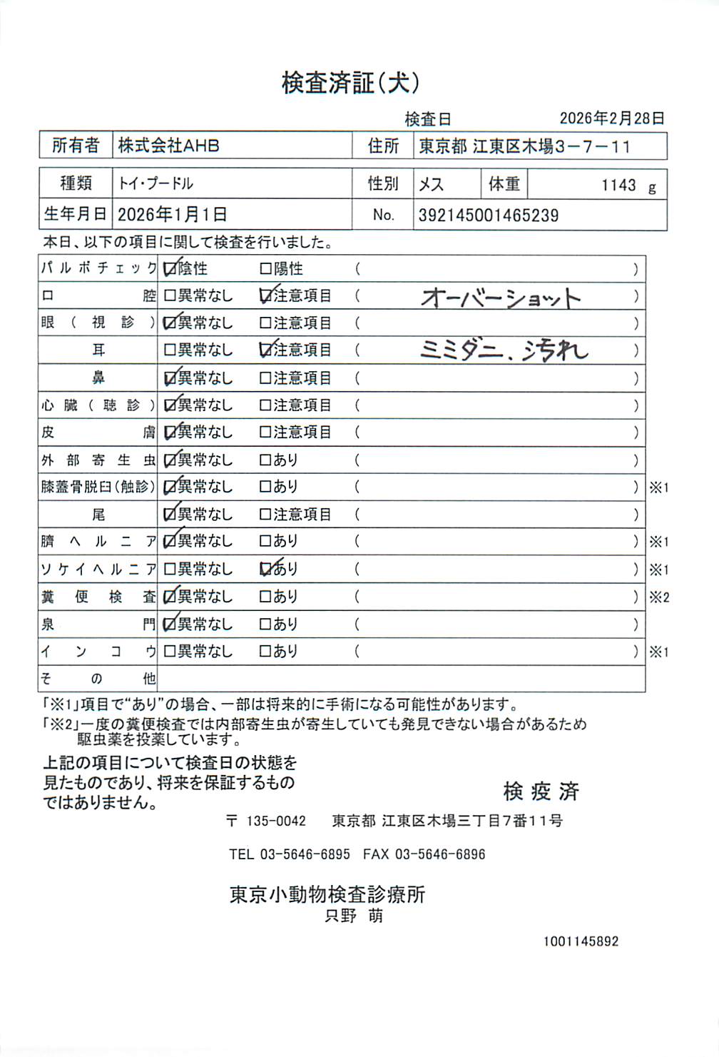 トイ・プードル