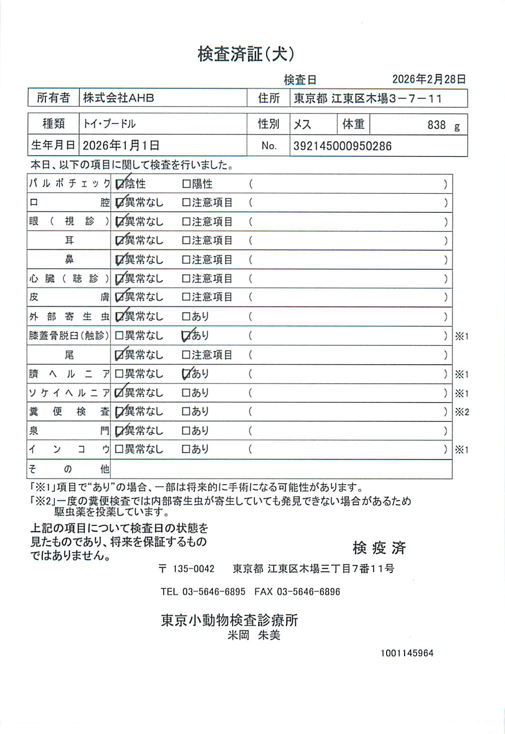 トイ・プードル