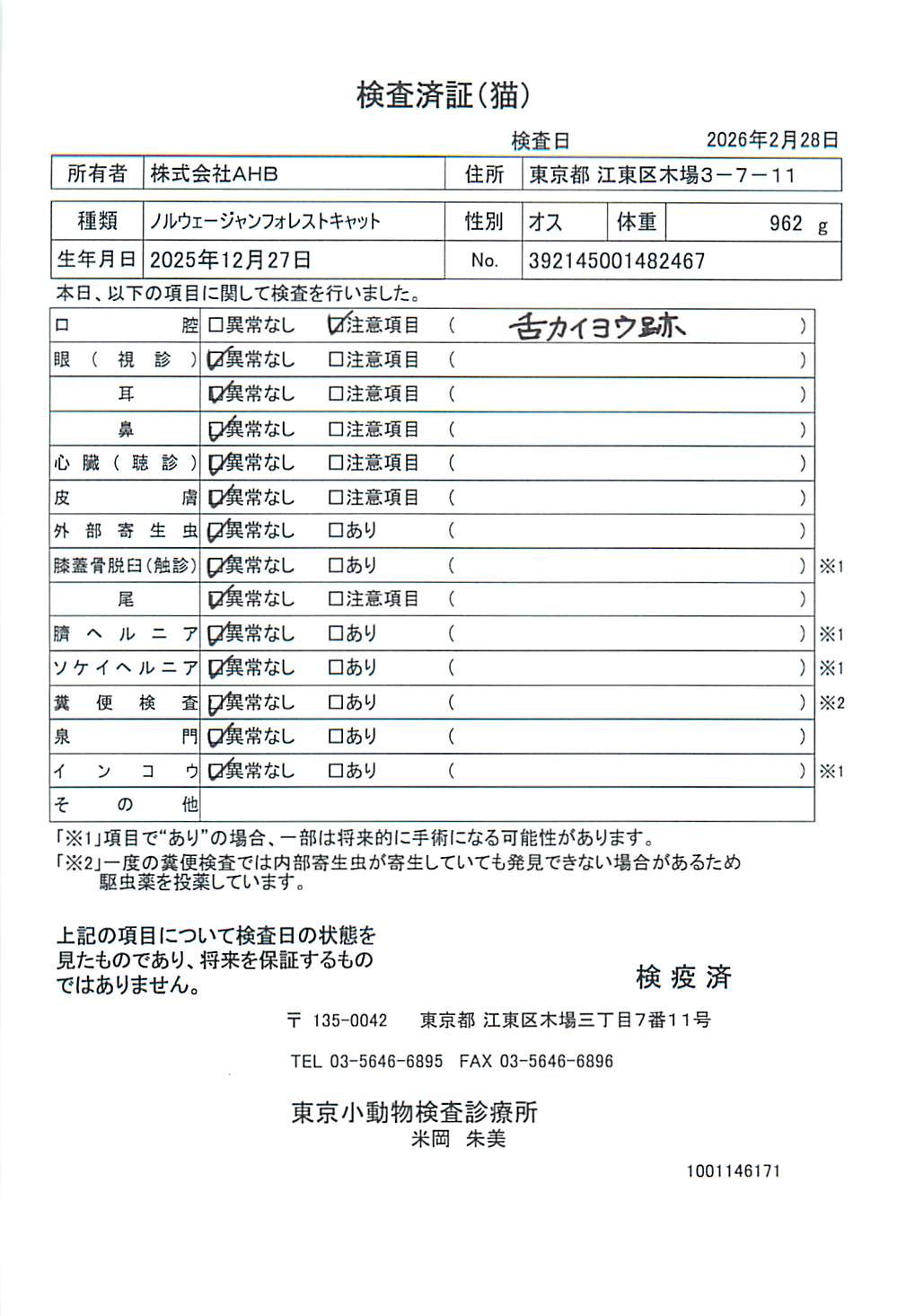 ノルウェージャンフォレストキャット