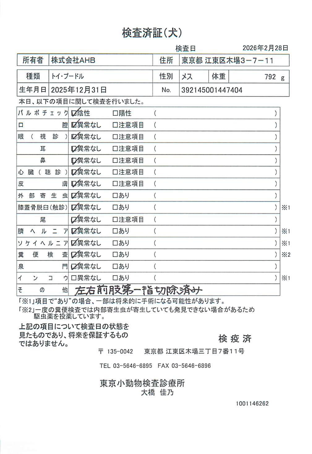 トイ・プードル