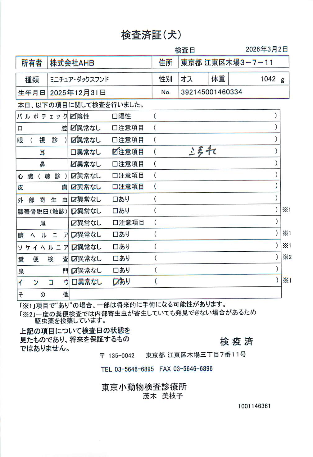 ミニチュア・ダックスフンド