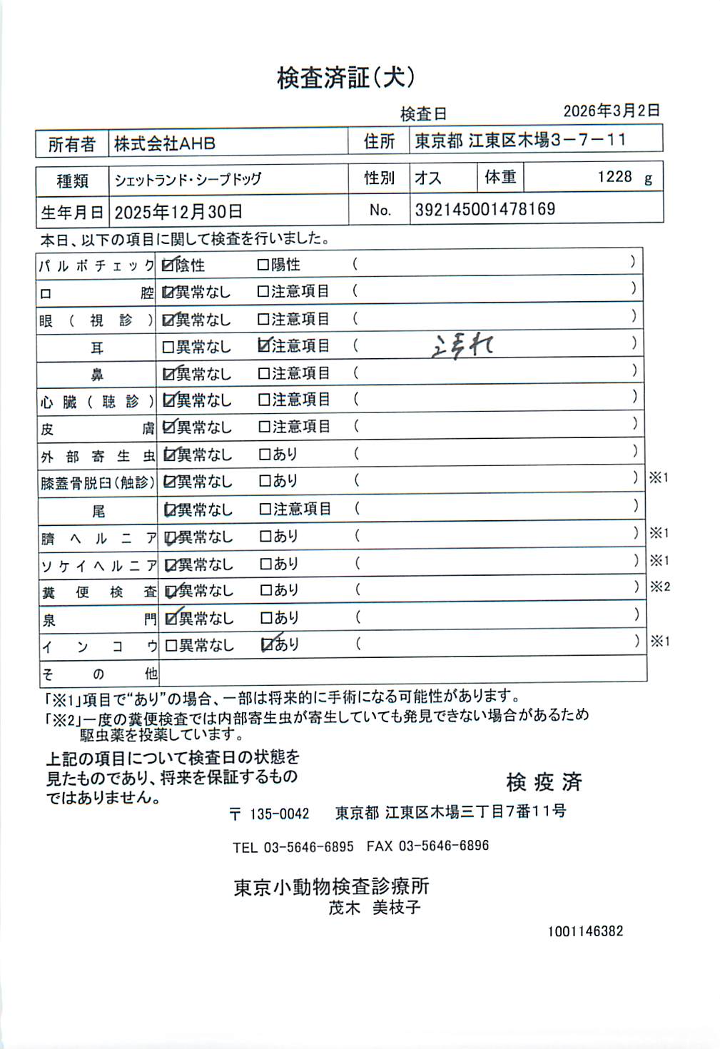シェットランド・シープドッグ