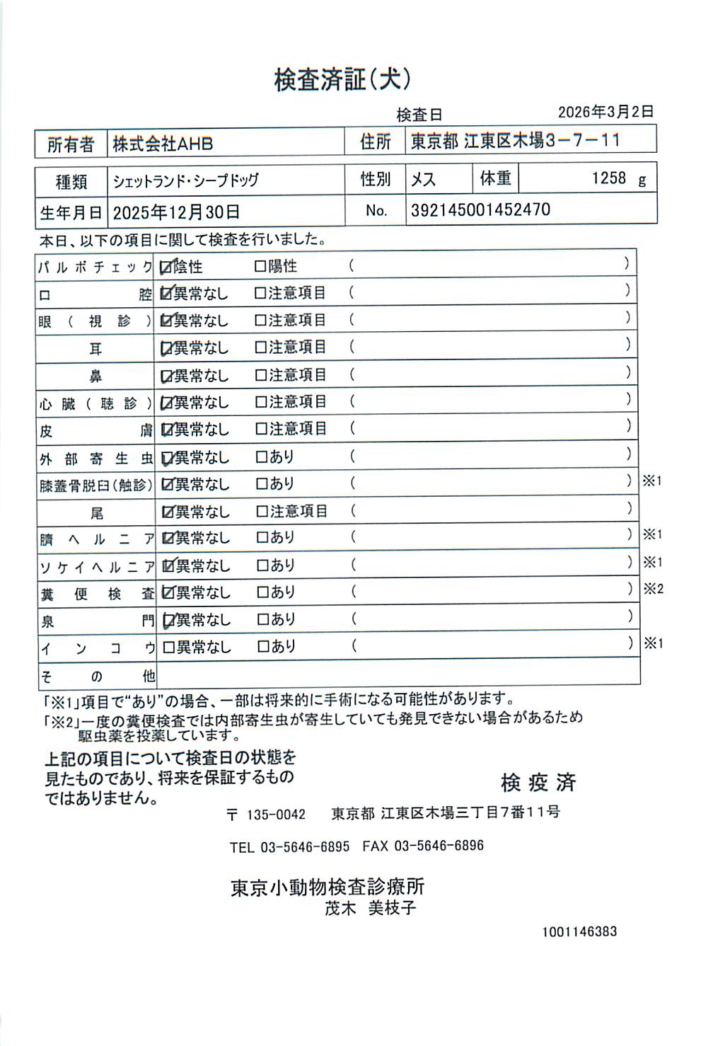 シェットランド・シープドッグ