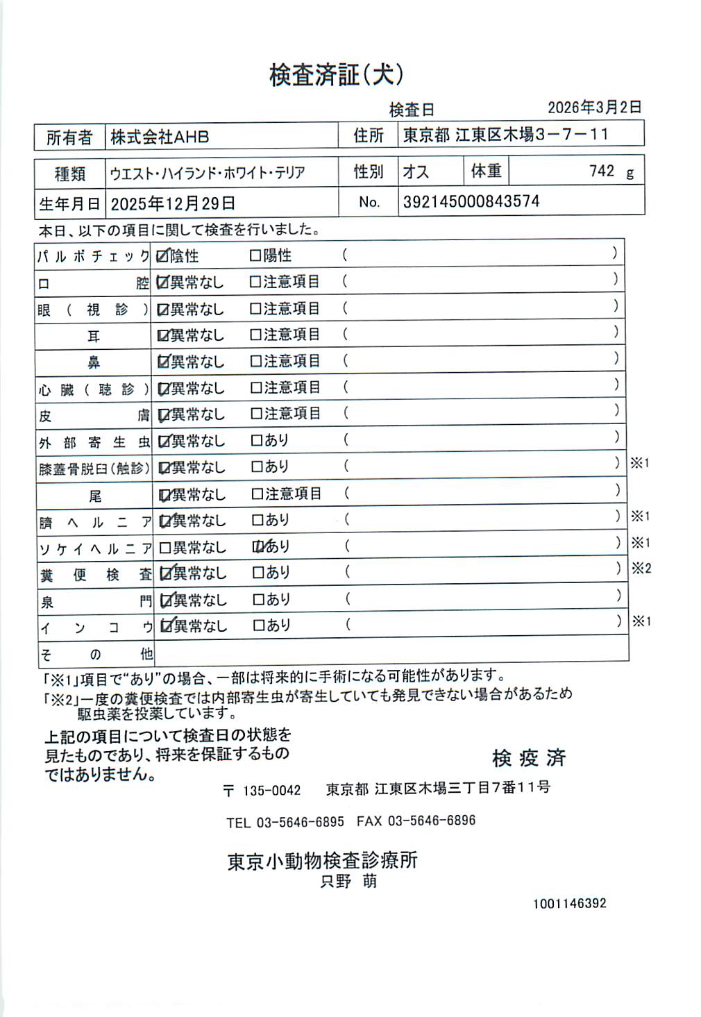 ウエスト・ハイランド・ホワイト・テリア