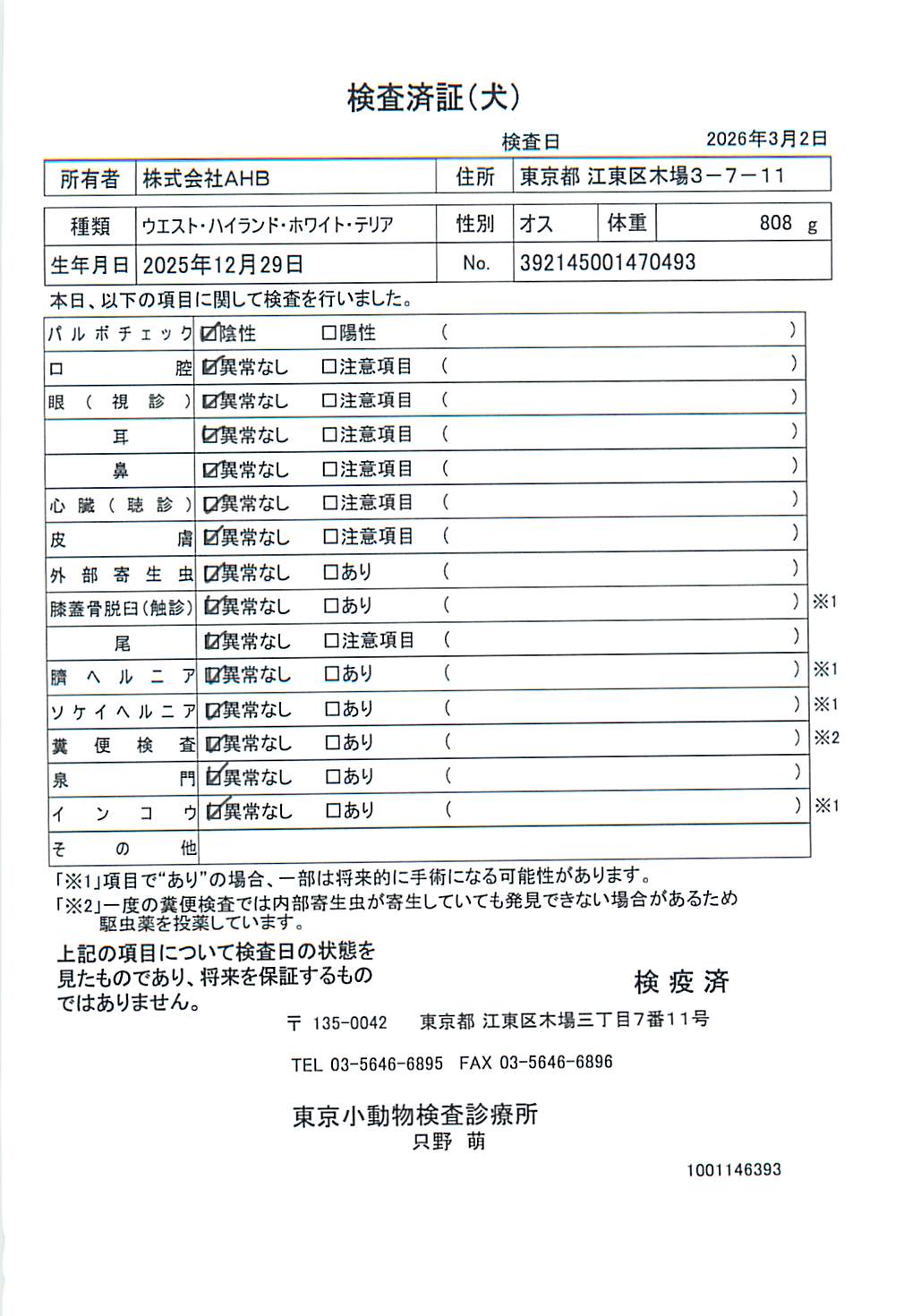 ウエスト・ハイランド・ホワイト・テリア