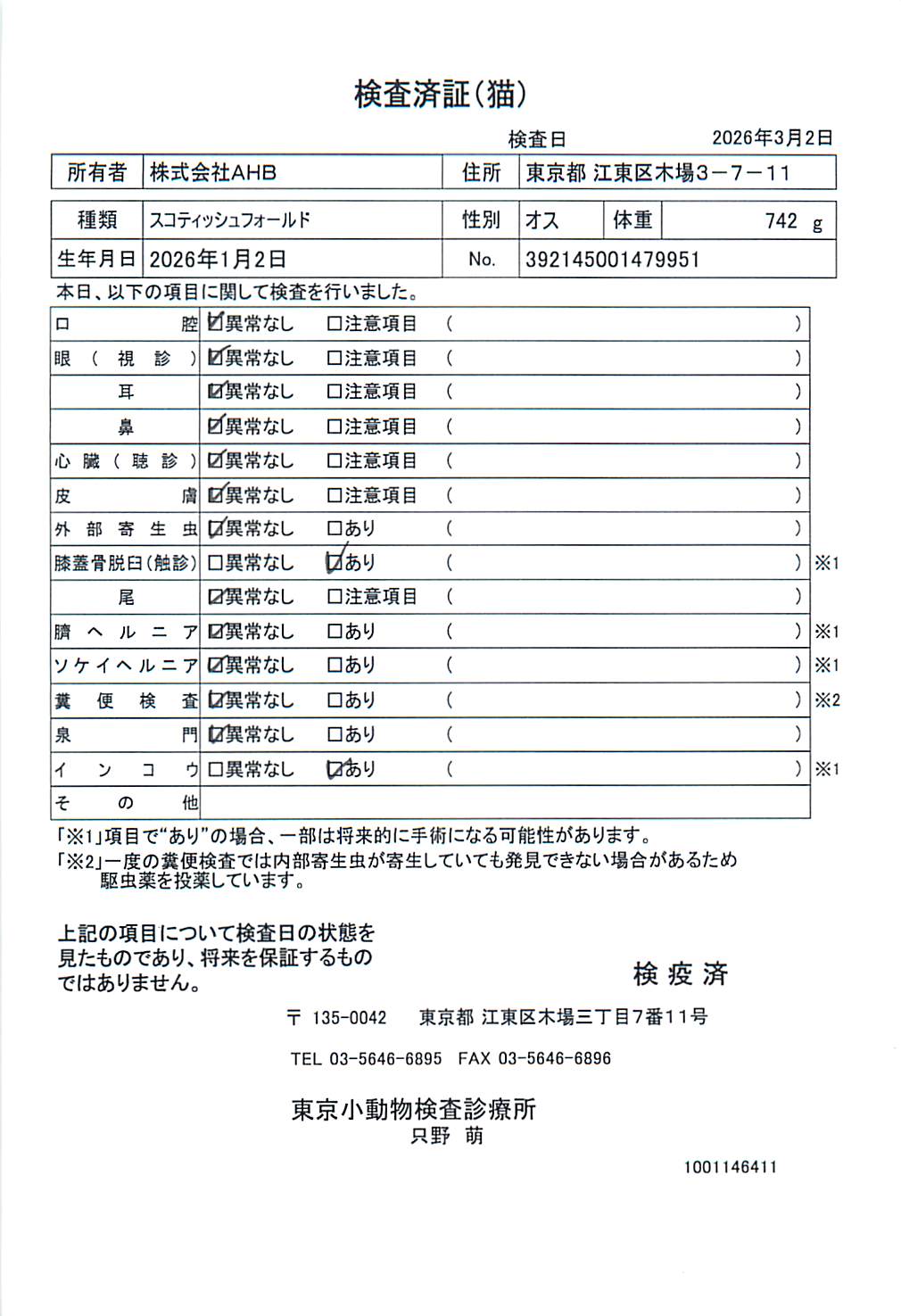 スコティッシュフォールド