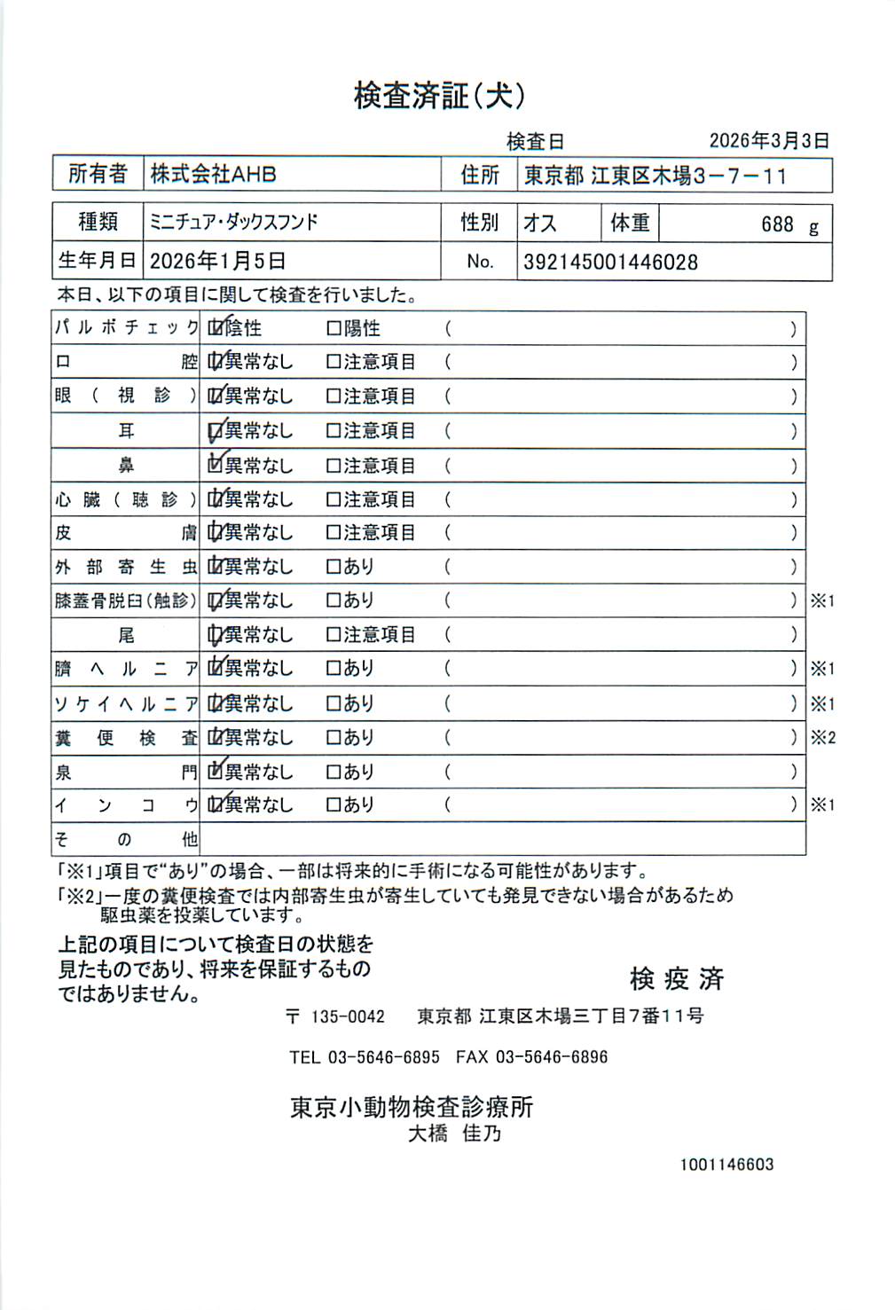 ミニチュア・ダックスフンド